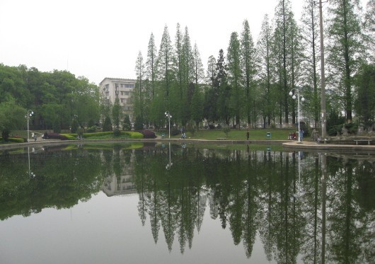 湖南農業大學園藝園林學院