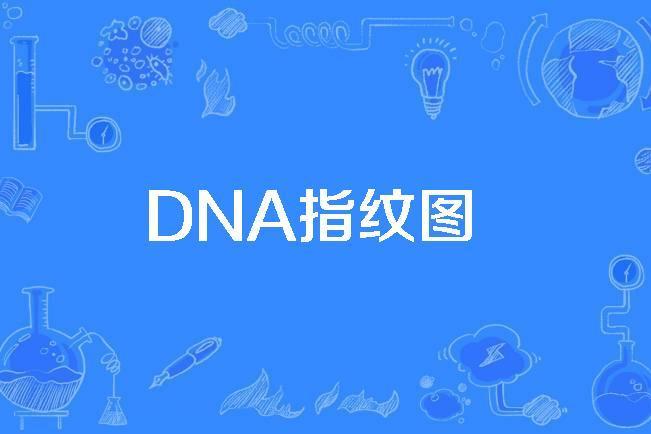 DNA指紋圖