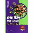 果樹病蟲害診斷與防治原色圖鑑叢書：棗病蟲害診斷與防治原色圖鑑