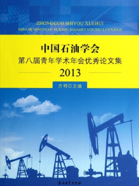 中國石油學會第八屆青年學術年會優秀論文集：2013