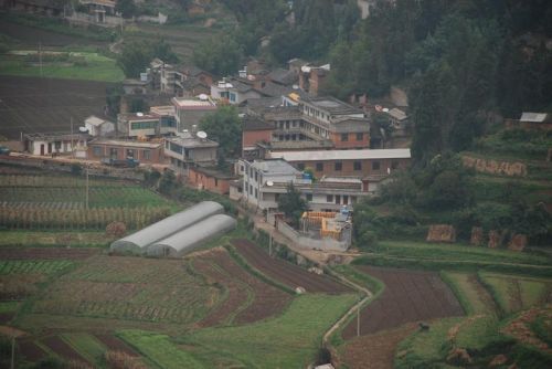 下沖村(雲南省昆明市西山區團結鎮下沖村)