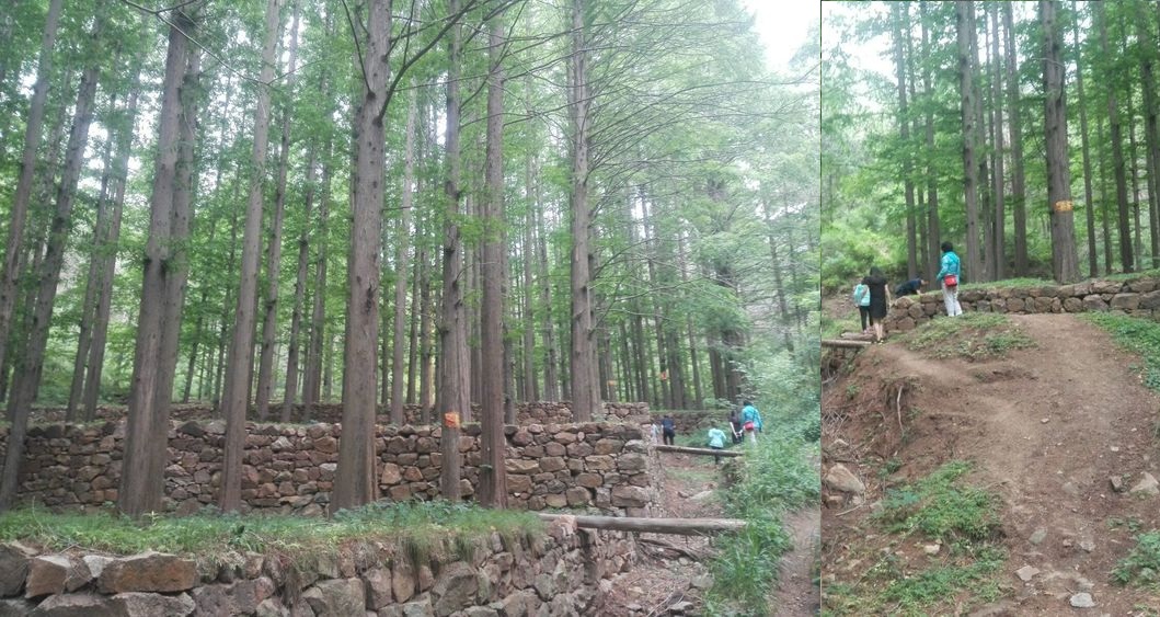 嵩山(臨朐嵩山)