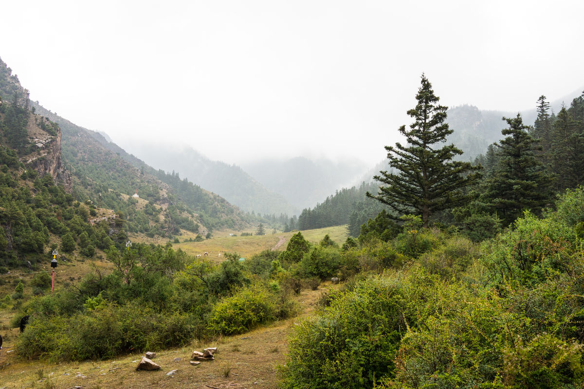 賀蘭山原始森林旅遊區