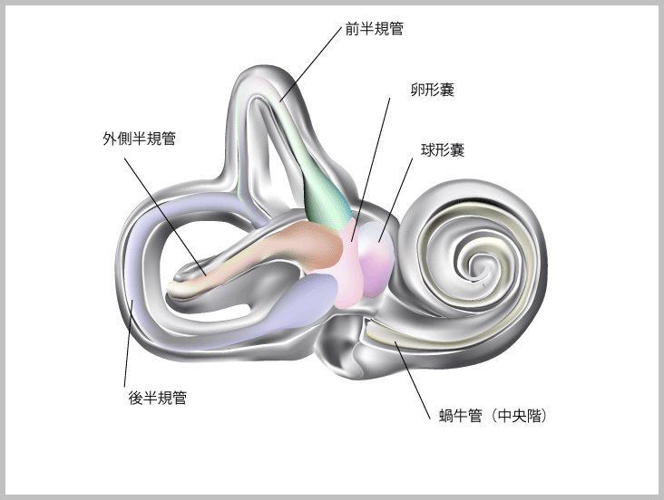 鼓室