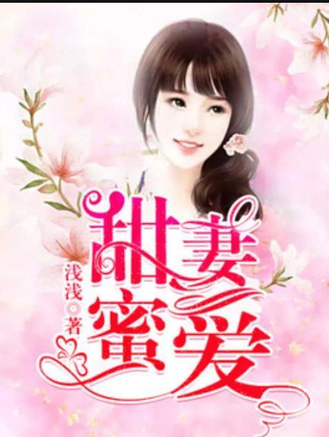 甜妻蜜愛(淺淺所著小說)