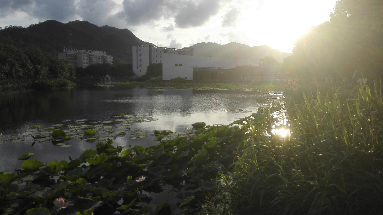 歲月湖日落