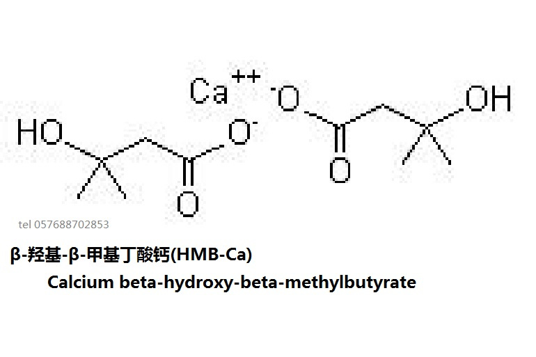 β-羥基-β-甲基丁酸鈣(HMB-Ca)