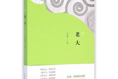 老大(2015年山東文藝出版社出版的圖書)