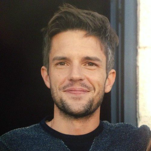 布蘭登·弗勞爾斯(brandon flowers)