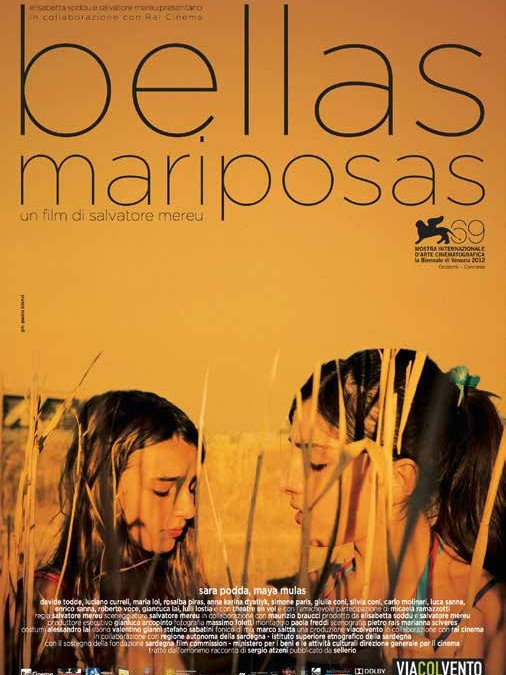 Bellas mariposas