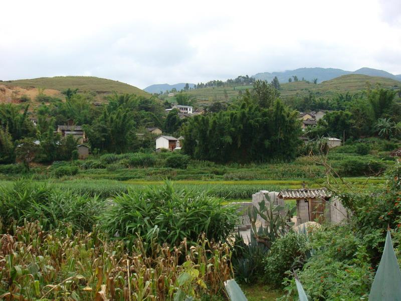 山門口村(新平縣平掌鄉倉房村民委員會下轄村)