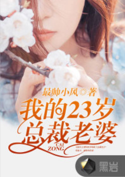 我的23歲總裁老婆