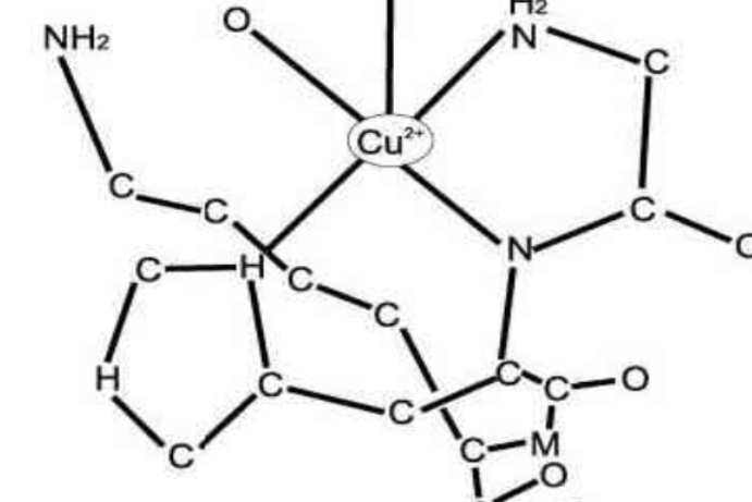 COPPER TRIPEPTIDE-1