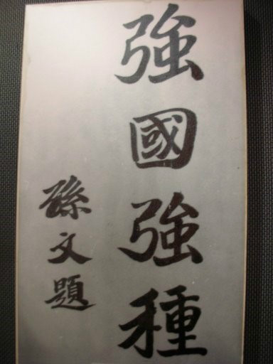 孫中山題詞“強國強種”