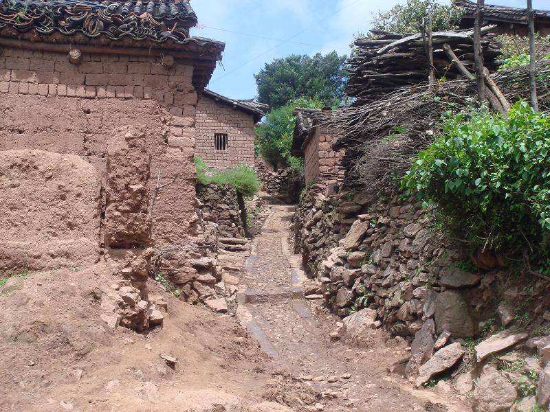 進村道路