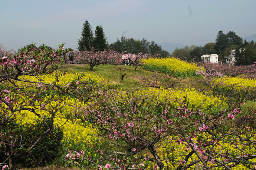 五里農業生態觀光園