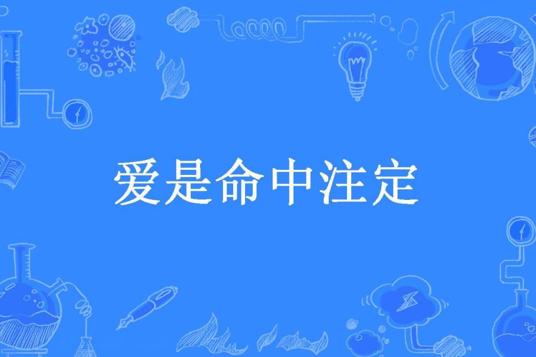 愛是命中注定(葉辰所著小說)