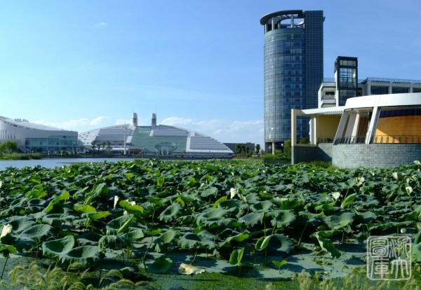 浙江大學管理學院