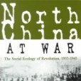 North China at War