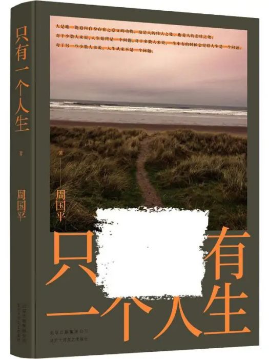 只有一個人生(2019年北京十月文藝出版社出版的圖書)