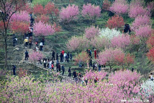 溪源峽谷 桃花山