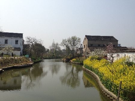 桃園村(山東青島市李滄區虎山街道桃園村)