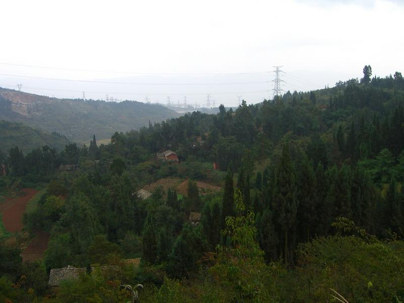 野竹村(雲南省昆明市呈貢區七甸街道下轄村)