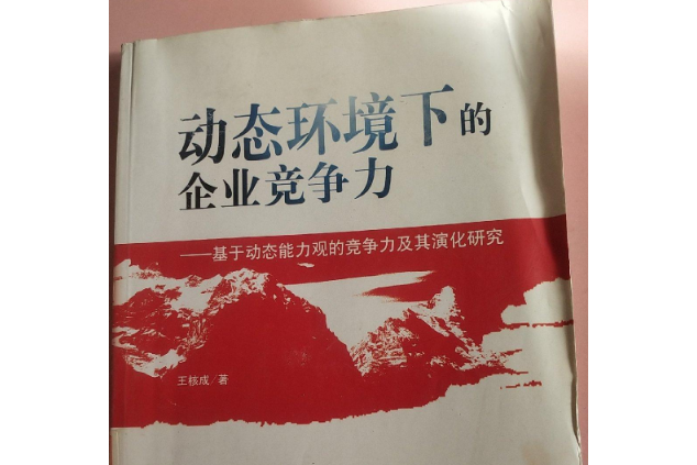 動態環境下的企業競爭力——基於動態能力觀的企業競爭及其演化研究基於動態能力觀的企業競爭及其演化研究