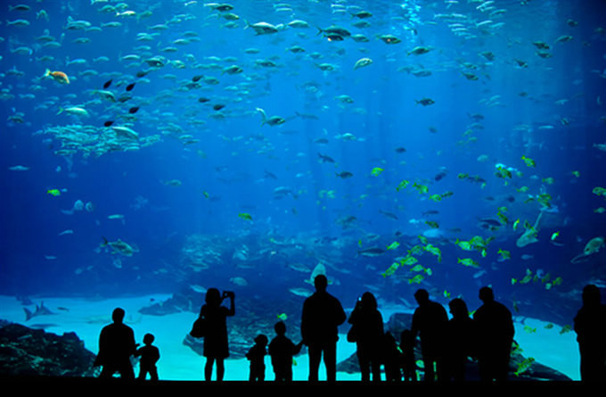 邁阿密水族館