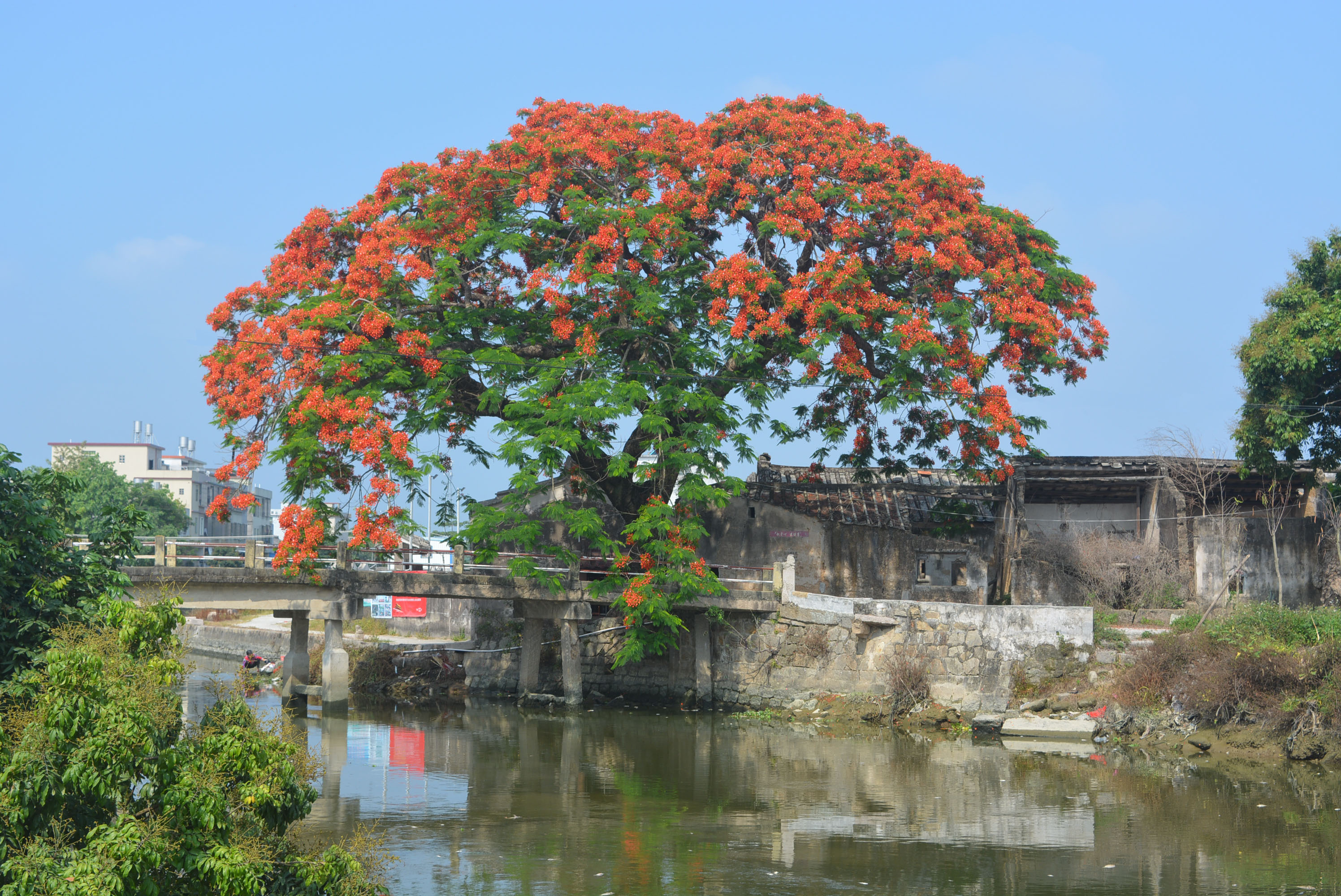 下尾王村