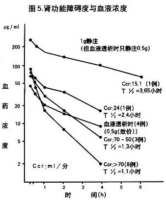 倍司特克