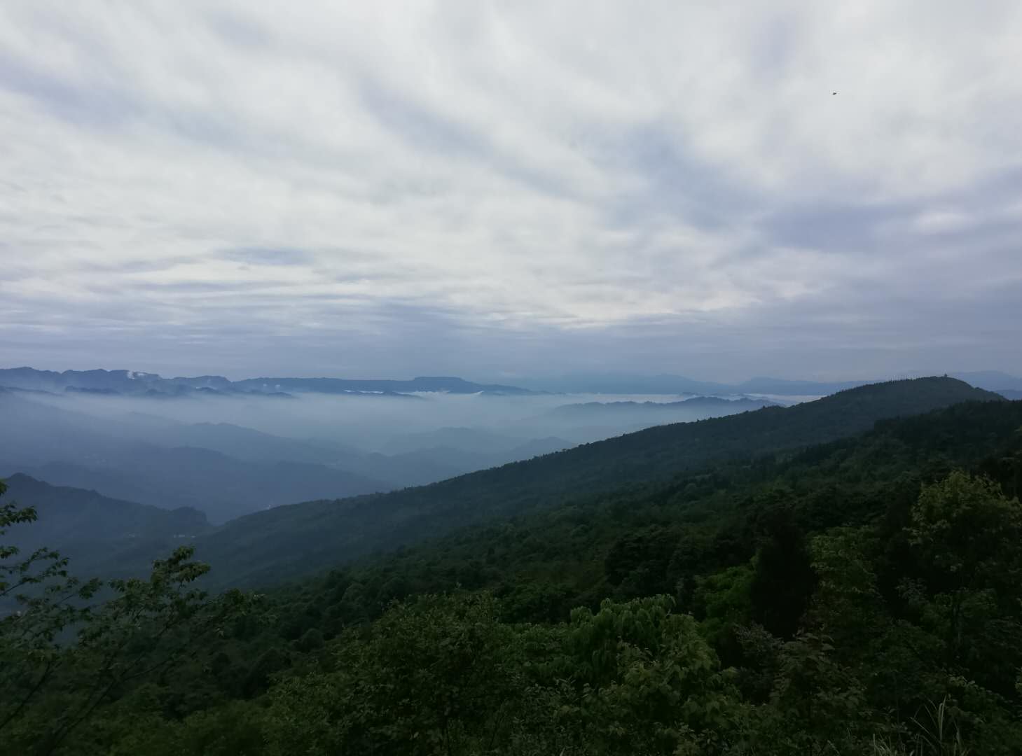 四川沐川國家森林公園