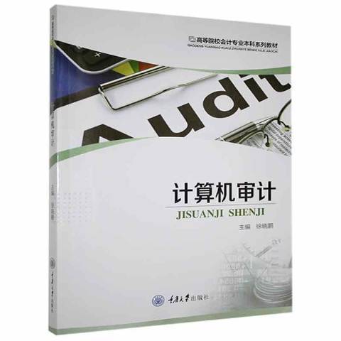 計算機審計(2021年重慶大學出版社出版的圖書)