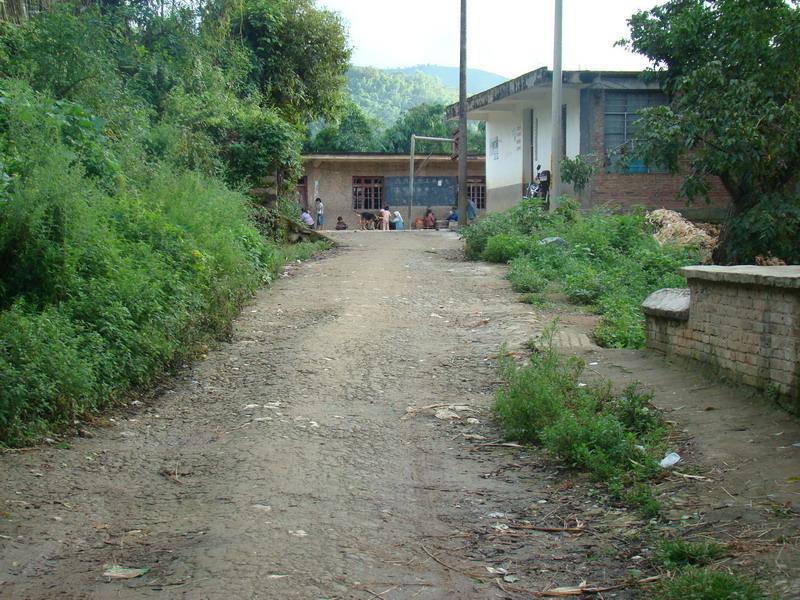 進村道路