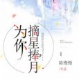 為你摘星捧月(陳慢慢所著小說)