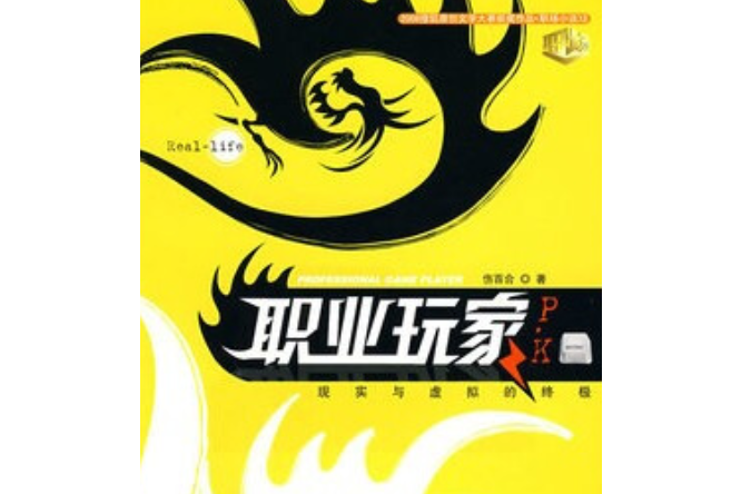 職業玩家(2008年華文出版社出版的圖書)