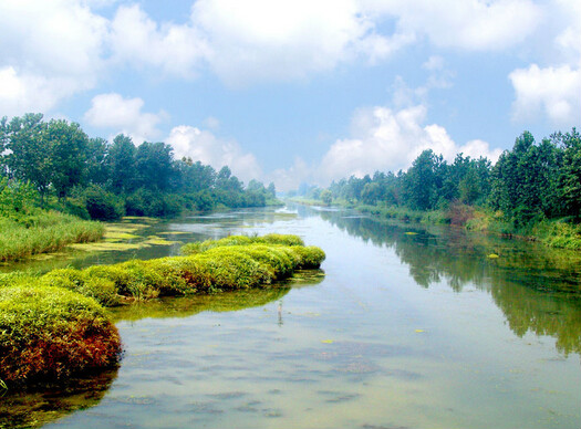 湖南省濕地保護條例