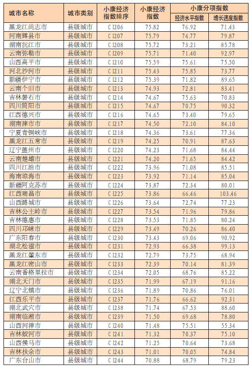 中國城市小康經濟指數報告