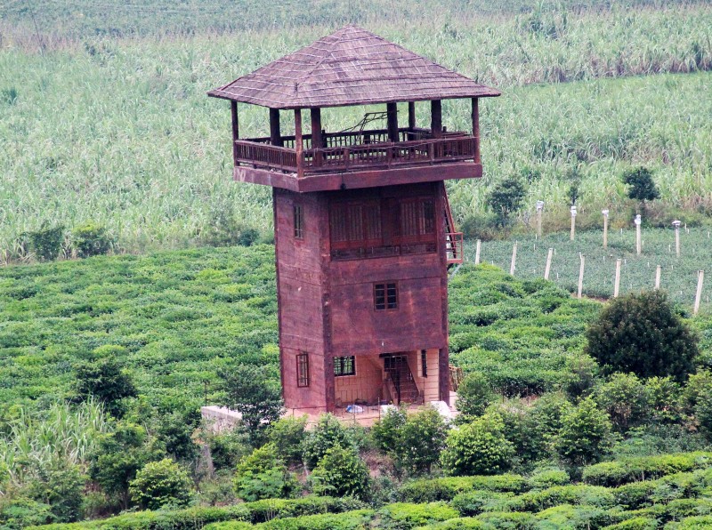 合浦縣七里香茶莊園