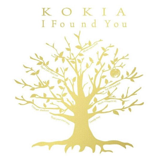 I Found You(KOKIA演唱歌曲)