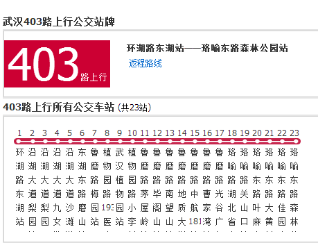 武漢公交403路