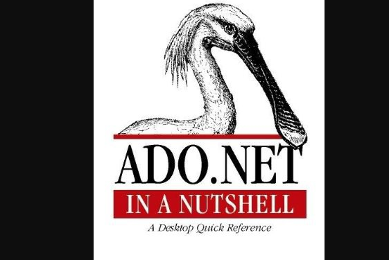 ADO.NET in a Nutshell