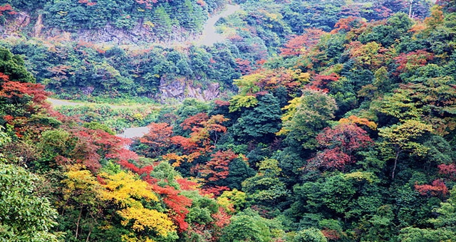 五府山鎮(江西省上饒市廣信區下轄鎮)