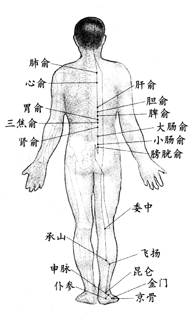 人體穴位