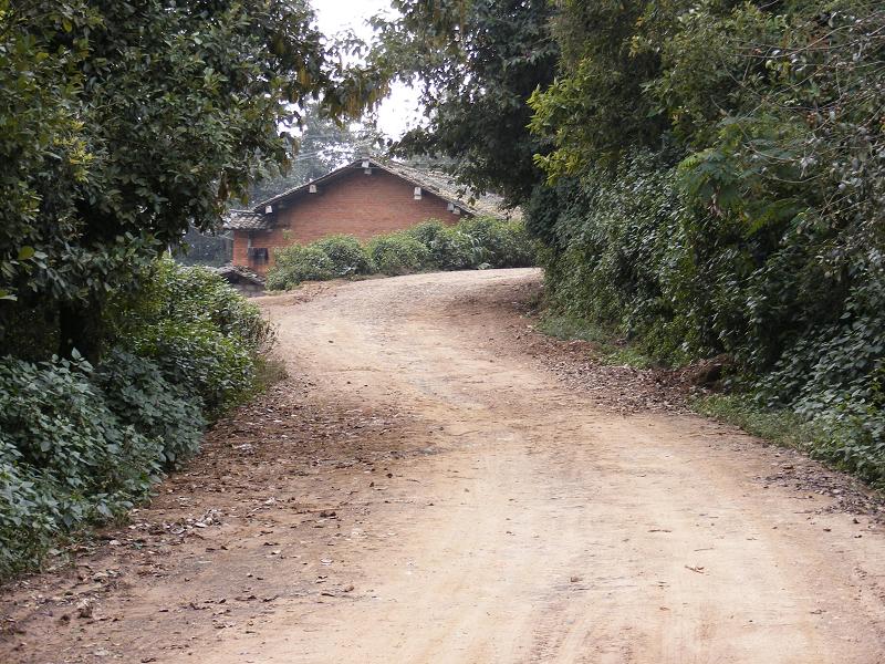 進村道路