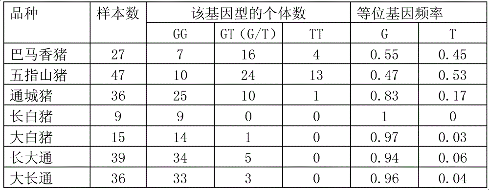 與豬免疫性狀相關的蛋白及其編碼基因和套用