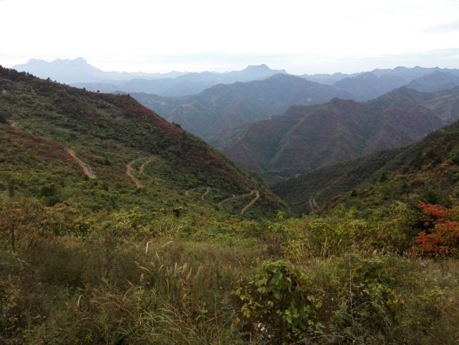 茶胡嶺村