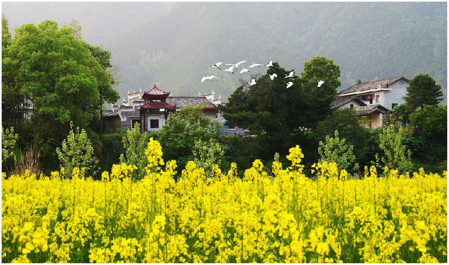 小河鄉(湖南省瀏陽市小河鄉)