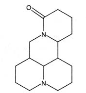 注射用苦參鹼