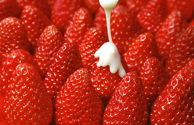 磚埠草莓